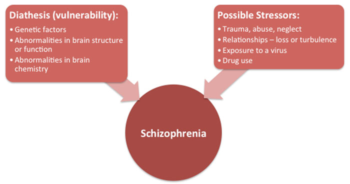 Schizophrenia Diagram